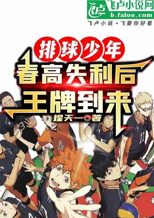 排球少年春高冠军