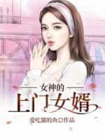 女神的上门婿贵