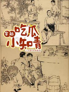吃瓜小知青完整的