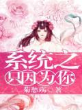 系统之yunv