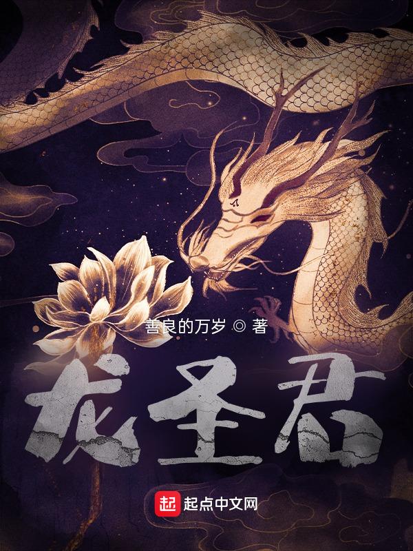 龙圣君途