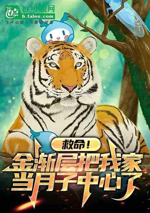 金渐层母几个月可以配种