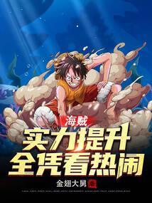 海贼实力提升