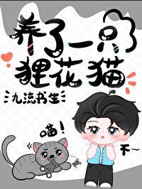 养了两只狸花猫