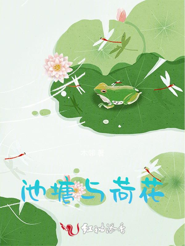 池塘荷花的图片