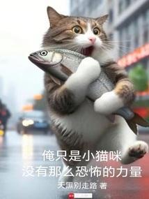 我只是一只小猫猫