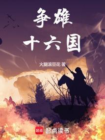 争雄十六国无错无防盗
