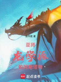 巫师系列学派