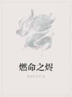 烬燃装备推荐