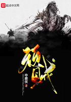 顽贼篱笆好文学