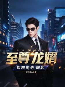 至尊龙婿笔趣阁无弹窗