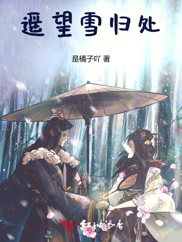 遥望简介