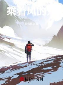 我乘着风飞过来歌词