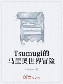 马里奥世界攻略图解