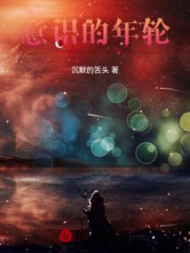 意识的几个阶段