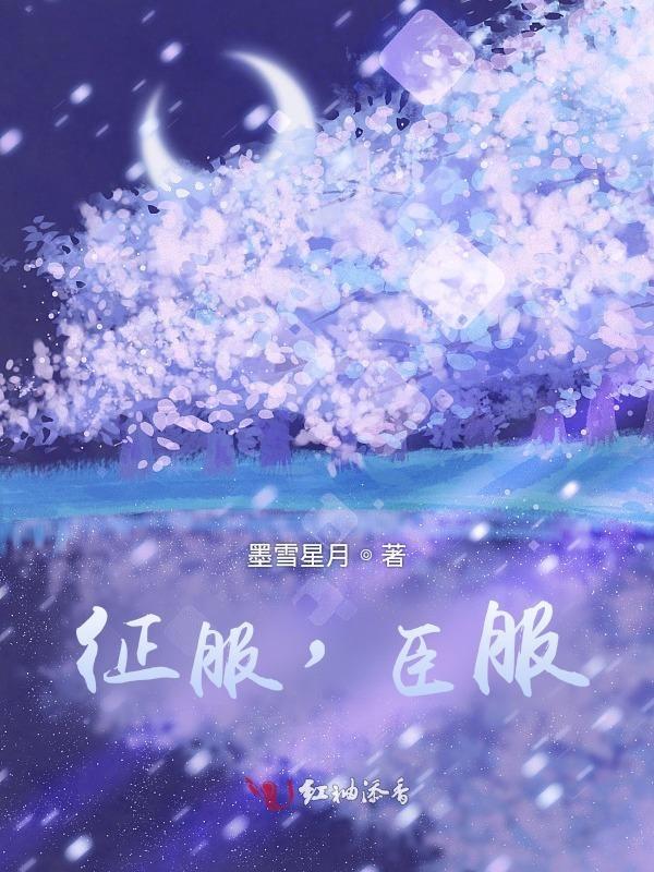 征服啥意思?