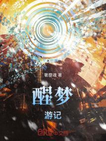 醒着梦游歌词是什么意思