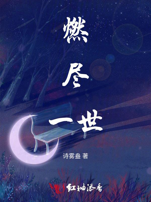 燃尽天下是什么意思