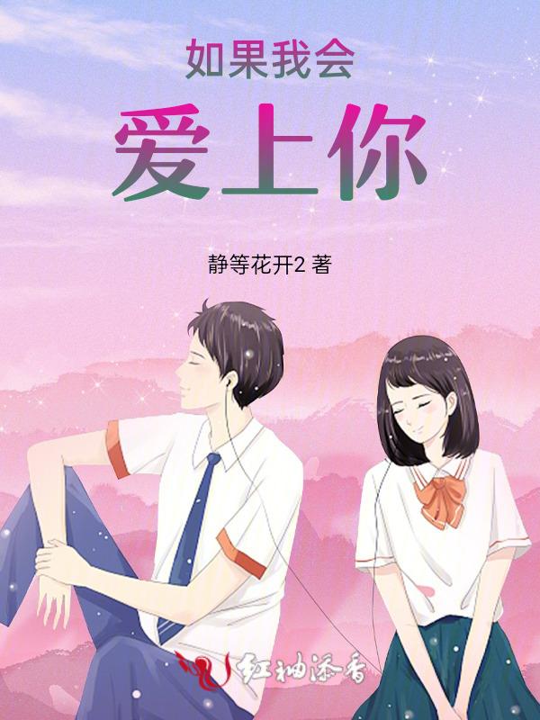 如果我爱上你老婆原版