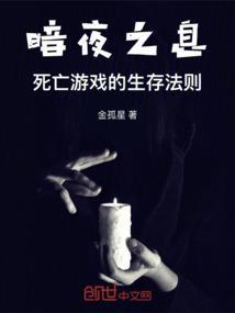 暗夜之城游戏