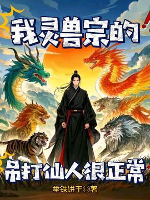 我是灵兽