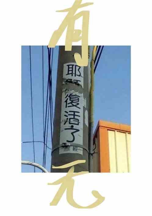 有无运费险在哪里看