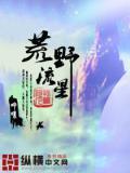 流浪100天