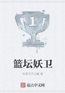 篮坛全能分卫