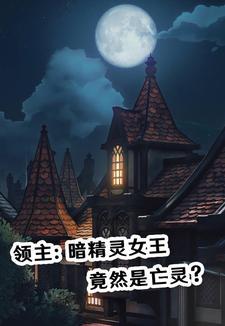 暗夜领主游戏