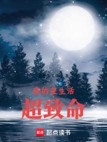 我的夜生活英文