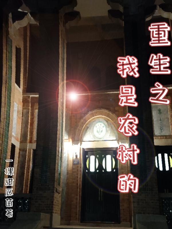 重生农村当大佬简介