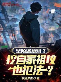 皇陵被盗情况