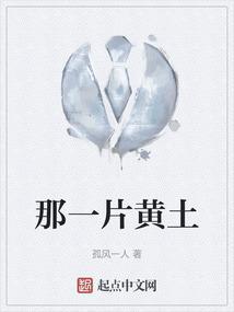 那一片黄土地 闲鱼