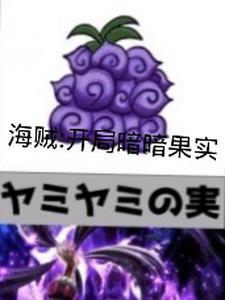 海贼之开局暗暗果实作者一室之内