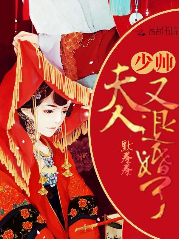 少帅夫人又闹离婚