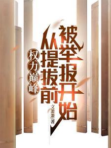 权力巅峰百度百科