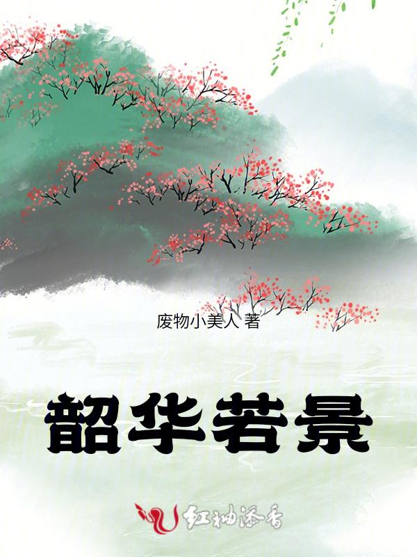 韶华若景一共多少集