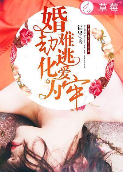 婚劫只欢不爱