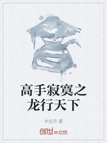 高手寂寞无弹窗