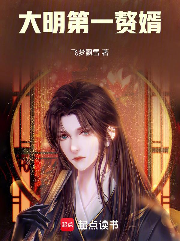 大明朝赘婿123