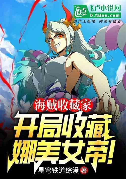 海贼王收美