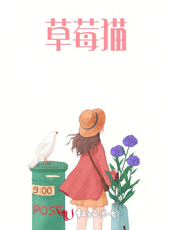 草莓猫玩具出生