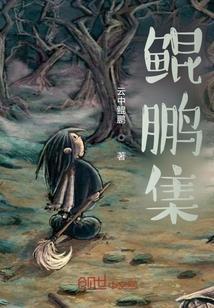 鲲鹏集团 深圳
