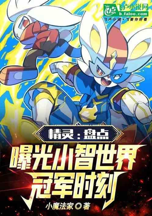 小智是什么冠军