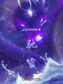 驰言什么意思解释