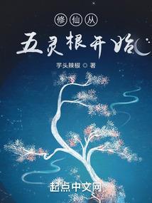 修仙从五灵根开始叶尘作者