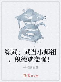 武当小师叔在都市