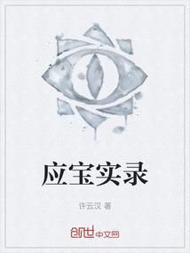 应宝林演技如何