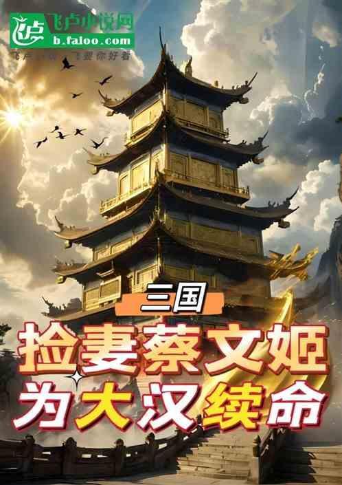 穿越三国主角娶蔡文姬的