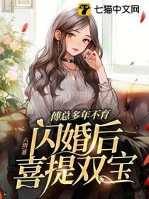 傅总的追妻火葬全文免费阅读